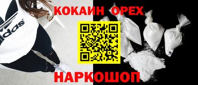 мдпв Кингисепп