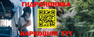 бошки Кимры