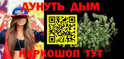 мдпв Кингисепп