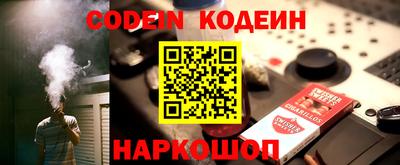 мдпв Кингисепп