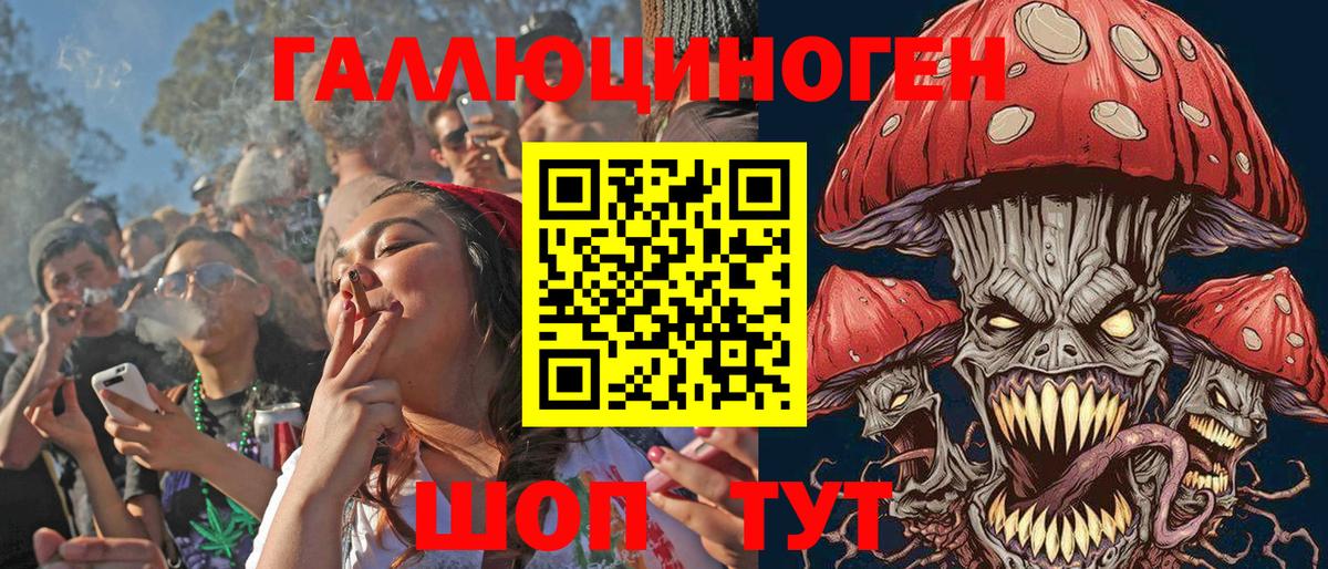 Гусев  Псилоцибиновые грибы MAGIC MUSHROOMS  Галлюциногенные грибы GOLDEN TEACHER  Вход с VPN 